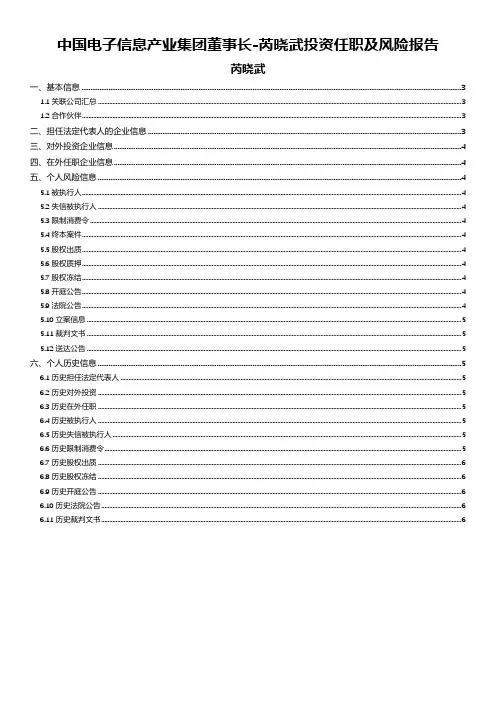 中国电子信息产业集团董事长-易点查提供芮晓武投资任职及风险报告