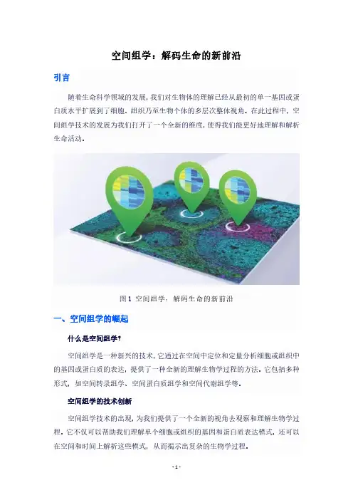 空间组学：解码生命的新前沿
