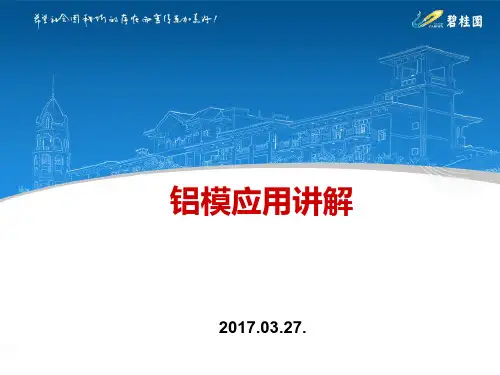 碧桂园项目铝模应用讲解
