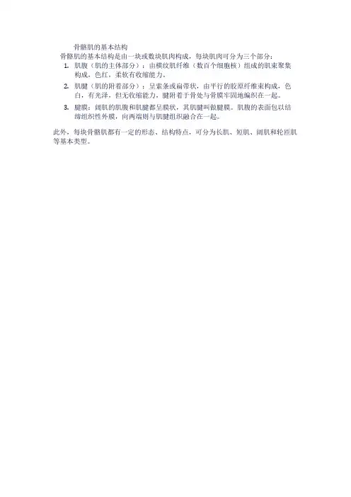 骨骼肌基本结构