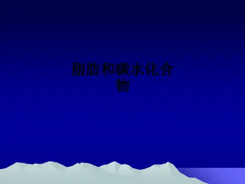 脂肪和碳水化合物ppt课件