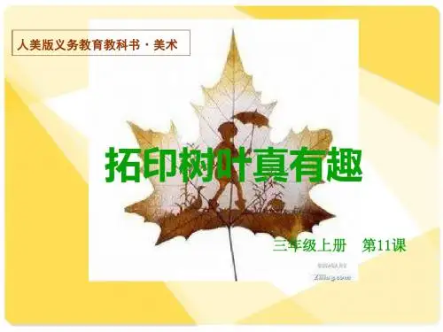 《拓印树叶真有趣课件》小学美术人美版三年级上册50905.ppt