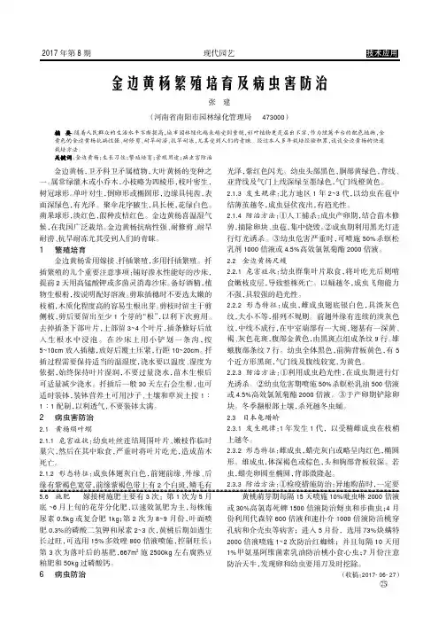 金边黄杨繁殖培育及病虫害防治