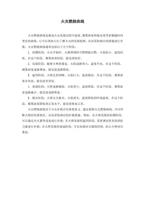 火灾燃烧曲线