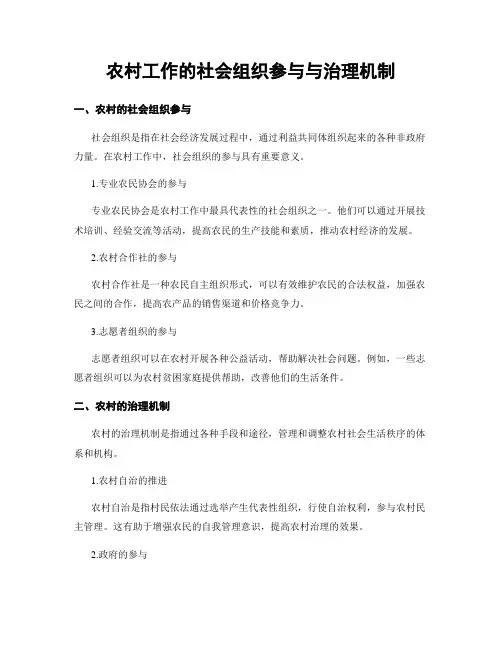 农村工作的社会组织参与与治理机制