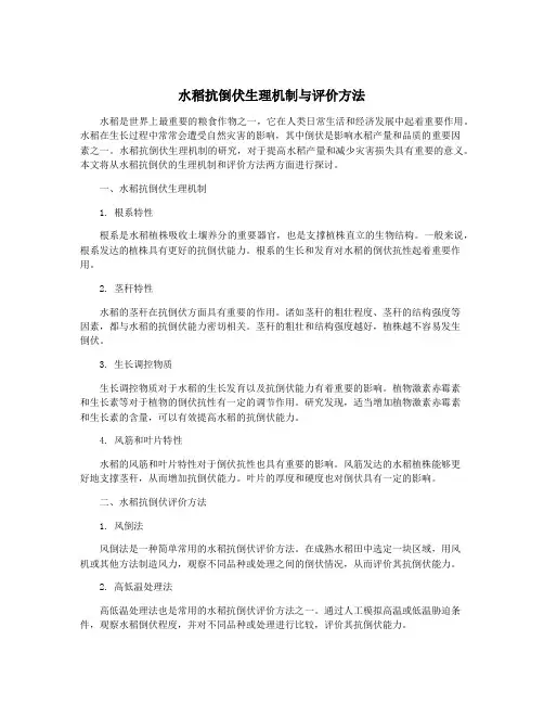 水稻抗倒伏生理机制与评价方法