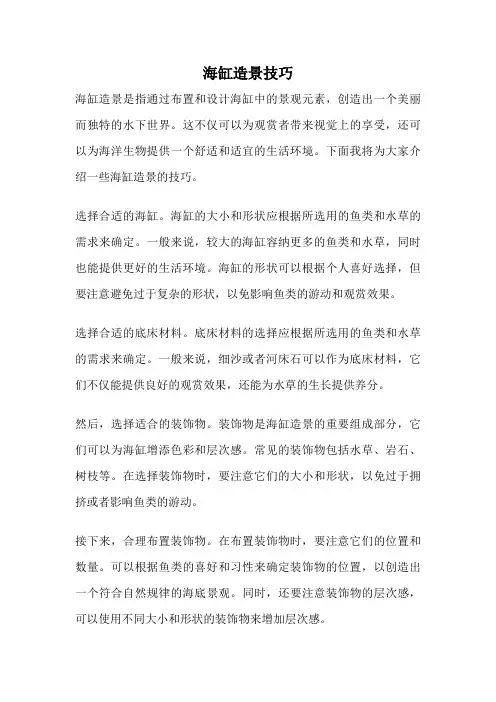 海缸造景技巧