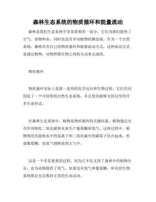 森林生态系统的物质循环和能量流动