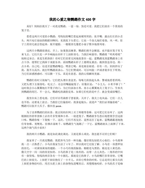 我的心爱之物鹦鹉作文400字