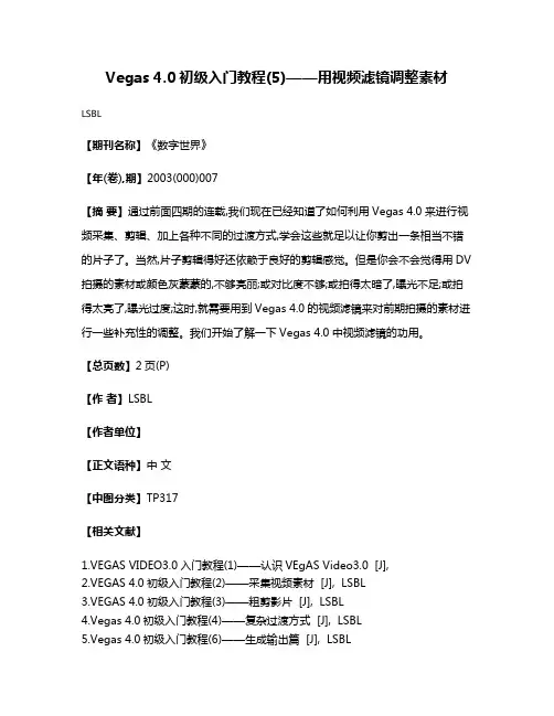 Vegas 4.0初级入门教程(5)——用视频滤镜调整素材