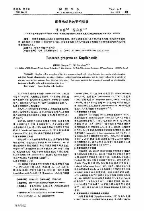库普弗细胞的研究进展