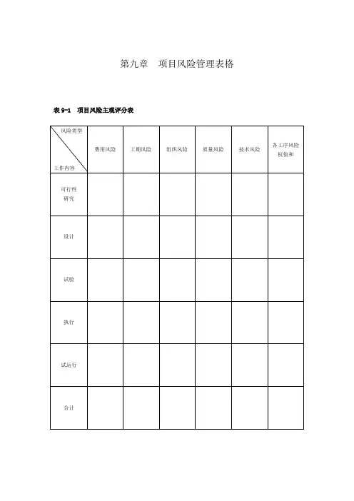 第9章--项目风险管理表格