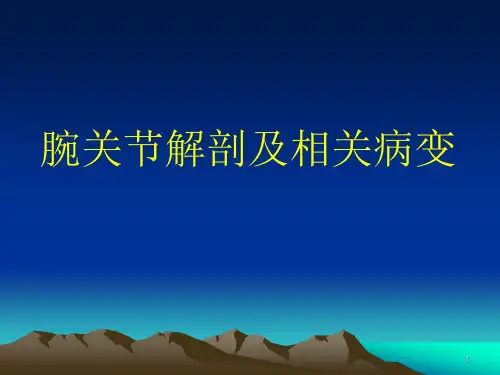 腕关节MRppt课件