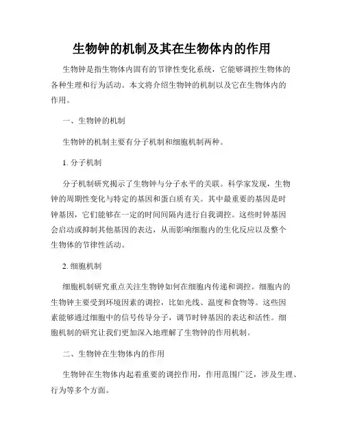 生物钟的机制及其在生物体内的作用