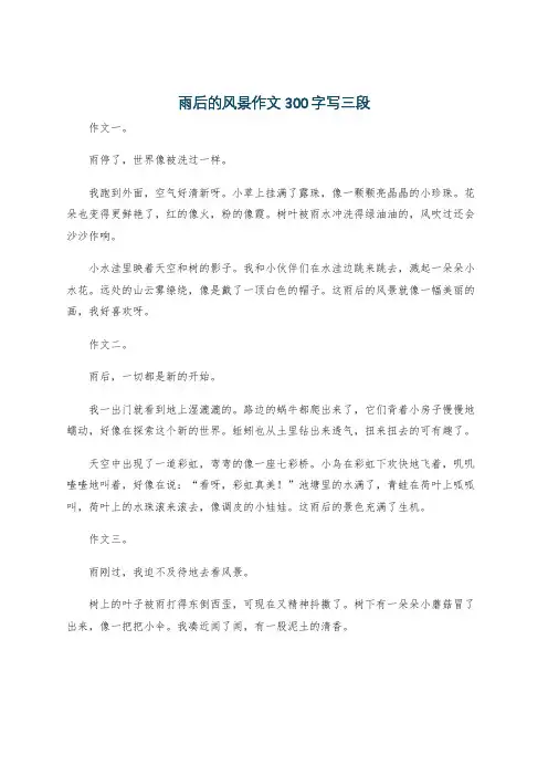 雨后的风景作文300字写三段