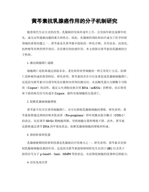 黄芩素抗乳腺癌作用的分子机制研究