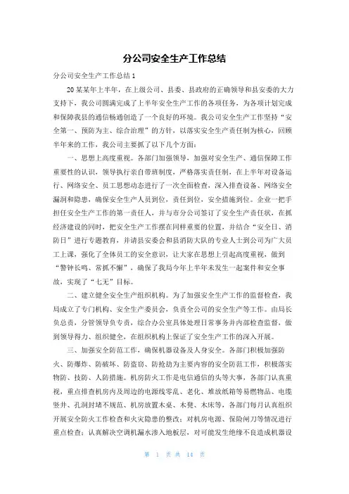 分公司安全生产工作总结