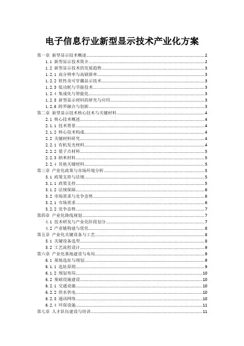 电子信息行业新型显示技术产业化方案