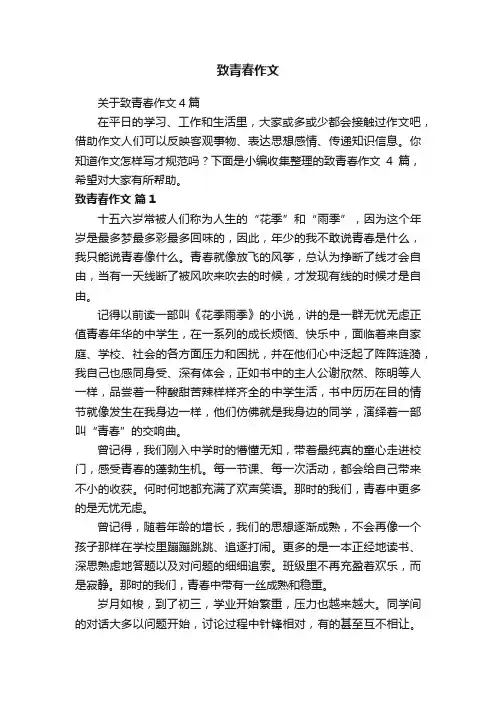 关于致青春作文4篇