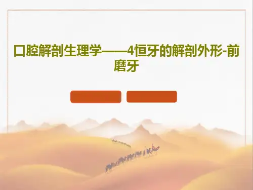 口腔解剖生理学——4恒牙的解剖外形-前磨牙51页PPT