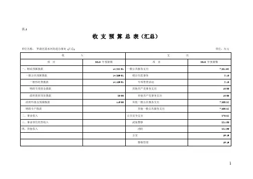 收支预算总表(汇总)