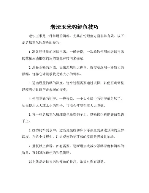 老坛玉米钓鲤鱼技巧