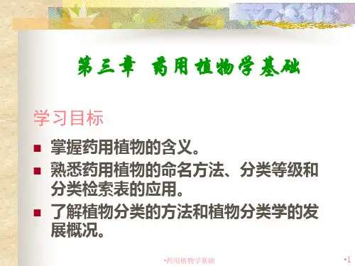 药用植物学基础课件