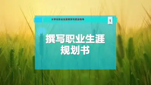 撰写职业生涯规划 书