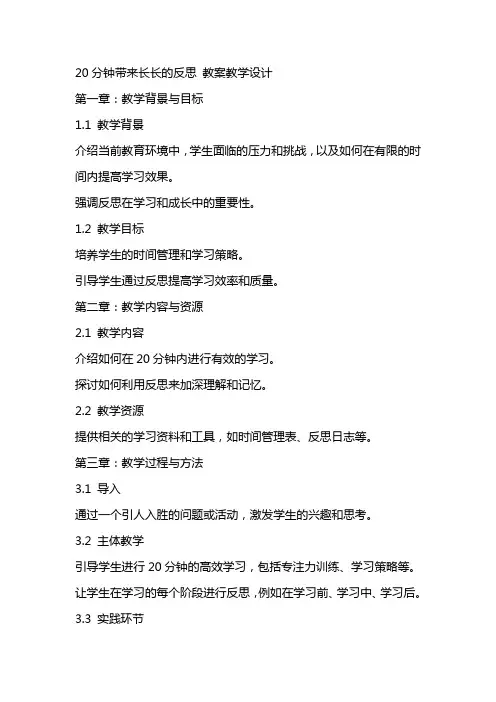 20分钟带来长长的反思 教案教学设计