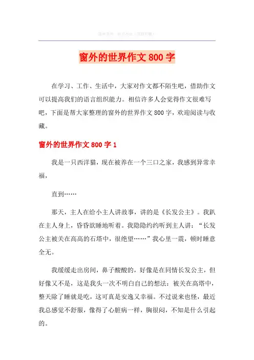 窗外的世界作文800字