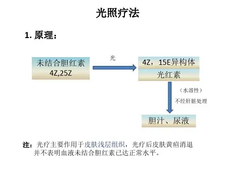新生儿黄疸的治疗光疗