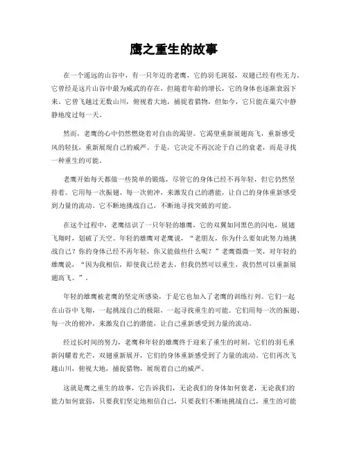 鹰之重生的故事