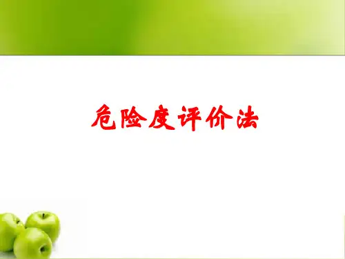 危险度评价法