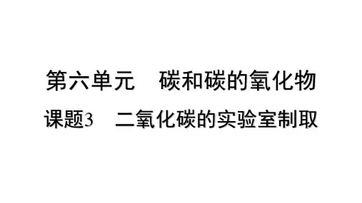 化学人教版(2024)九年级上册 第六单元 +6.3 二氧化碳的实验室制取
