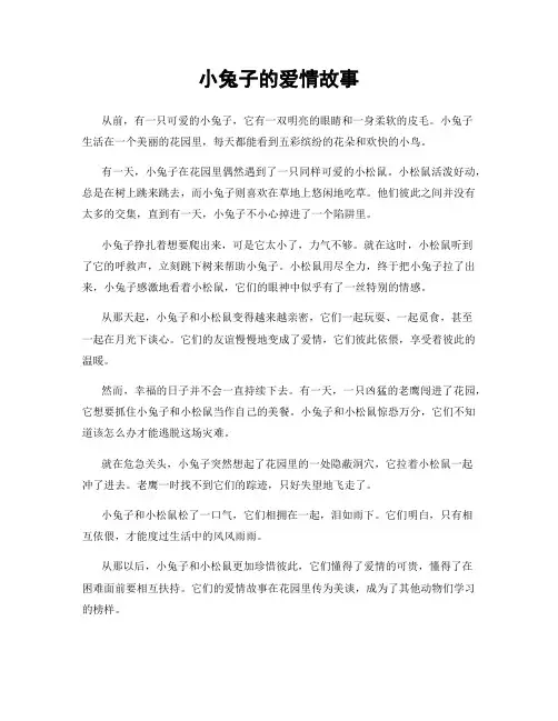 小兔子的爱情故事