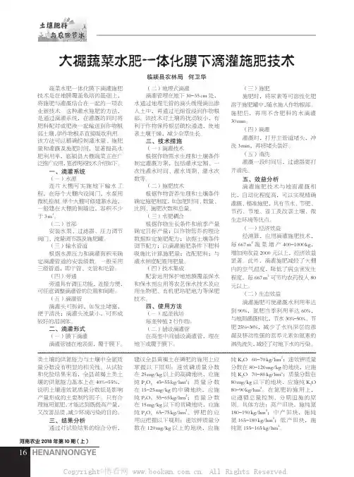 大棚蔬菜水肥一体化膜下滴灌施肥技术