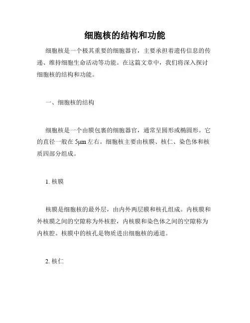 细胞核的结构和功能