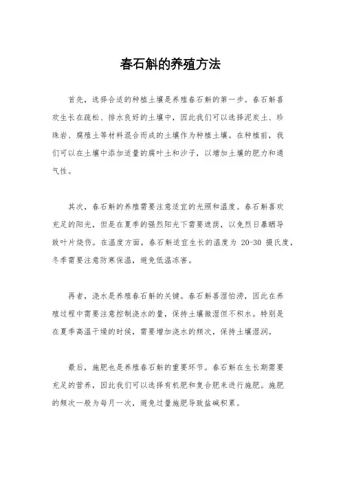 春石斛的养殖方法