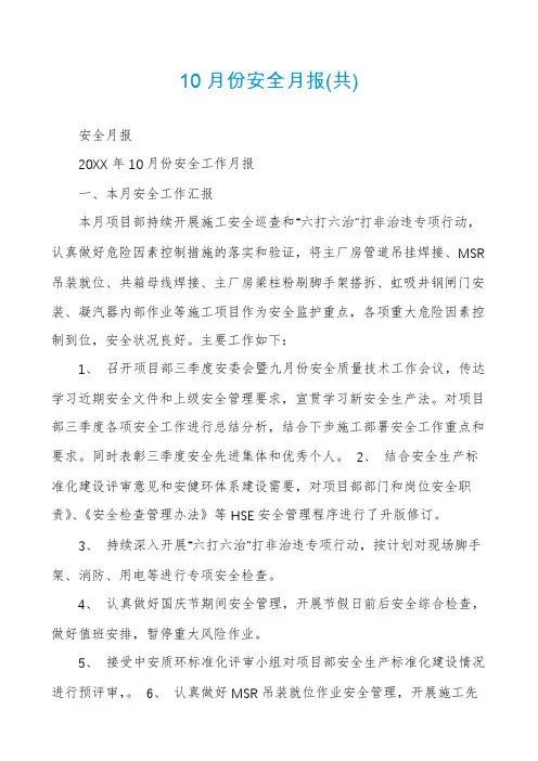10月份安全月报(共)