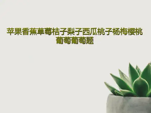 苹果香蕉草莓桔子梨子西瓜桃子杨梅樱桃葡萄葡萄题共32页PPT