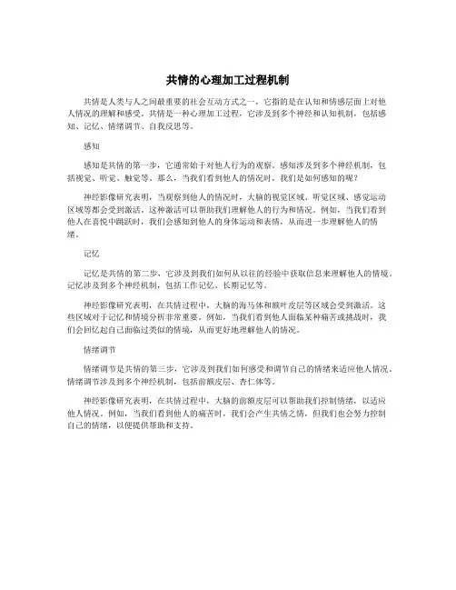 共情的心理加工过程机制