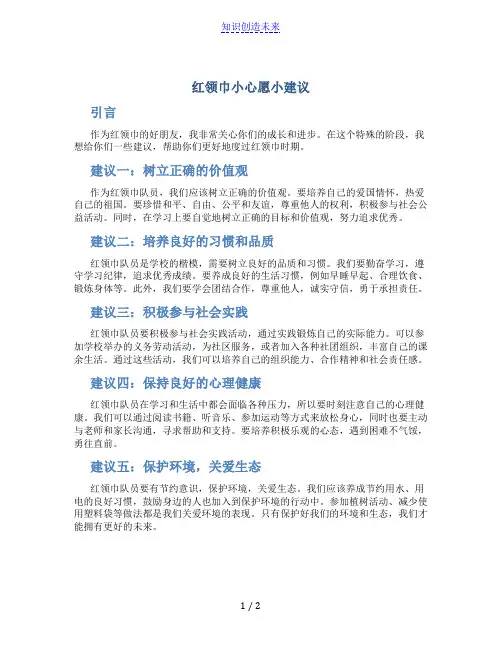 红领巾小心愿小建议