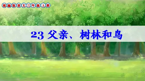 部编版三年级语文上册第23课《父亲、树林和鸟》课件