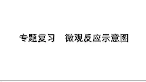 中考化学专题复习 微观反应示意图