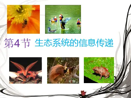 【新教材】人教版初中生物生态系统ppt优秀课件2