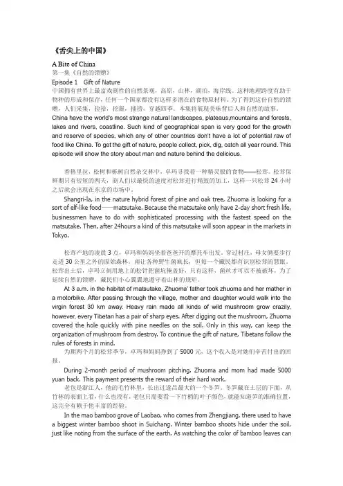 舌尖上的中国第一集英语渣翻