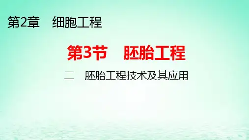 新教材高中生物第2章第3节胚胎工程二胚胎工程技术及其应用pptx课件新人教版选择性必修3