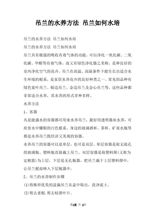 吊兰的水养方法 吊兰如何水培