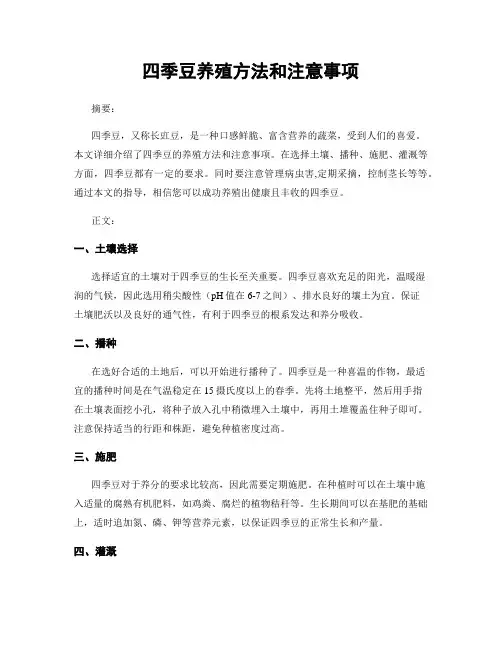 四季豆养殖方法和注意事项