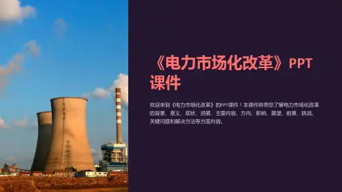 《电力市场化改革》课件